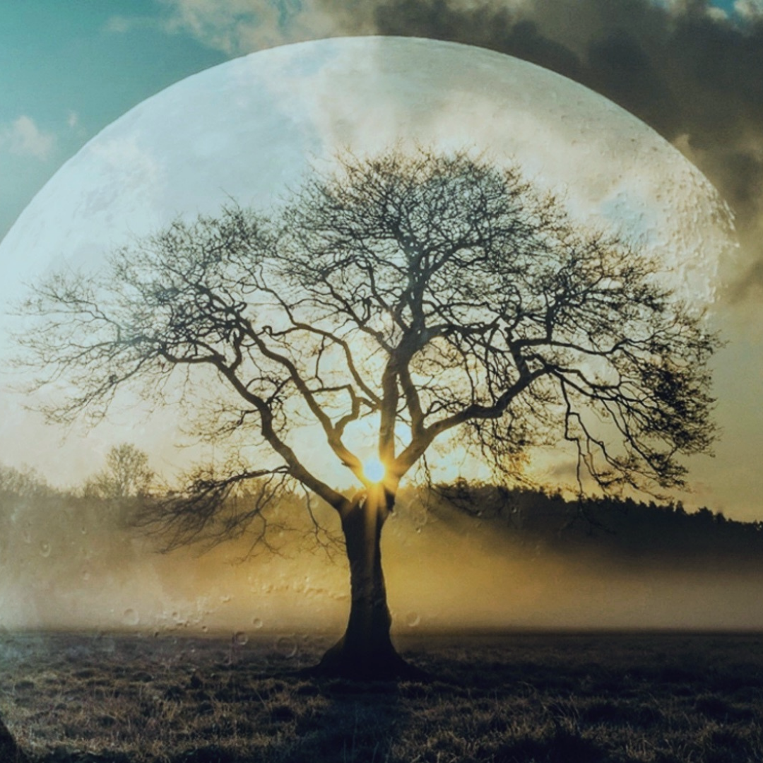 Hidden Influences Emerging