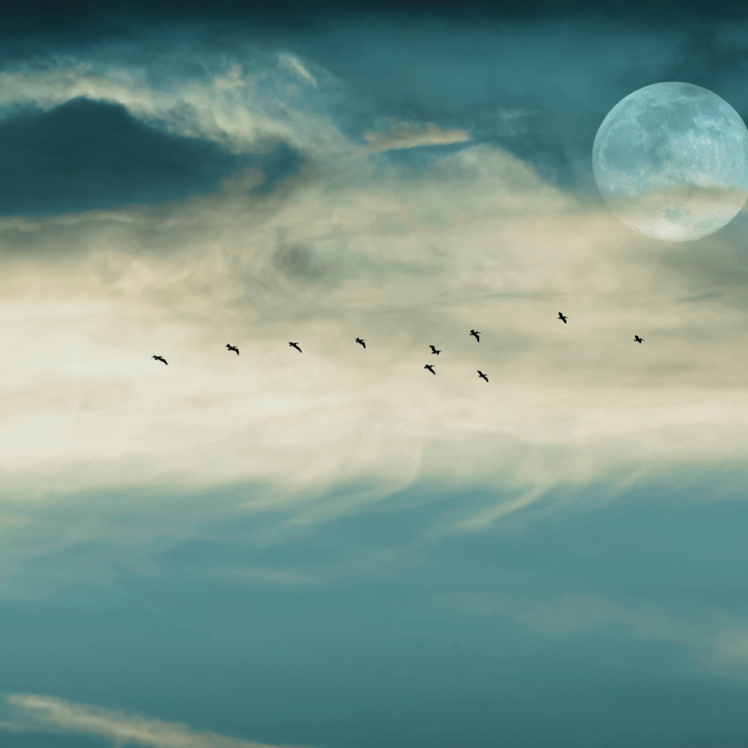 Powerful Full Moon