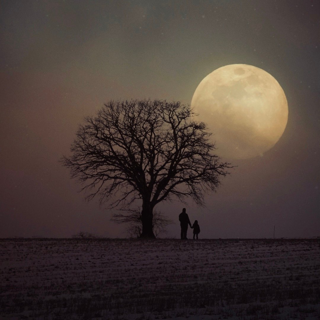 Mercury Retrograde