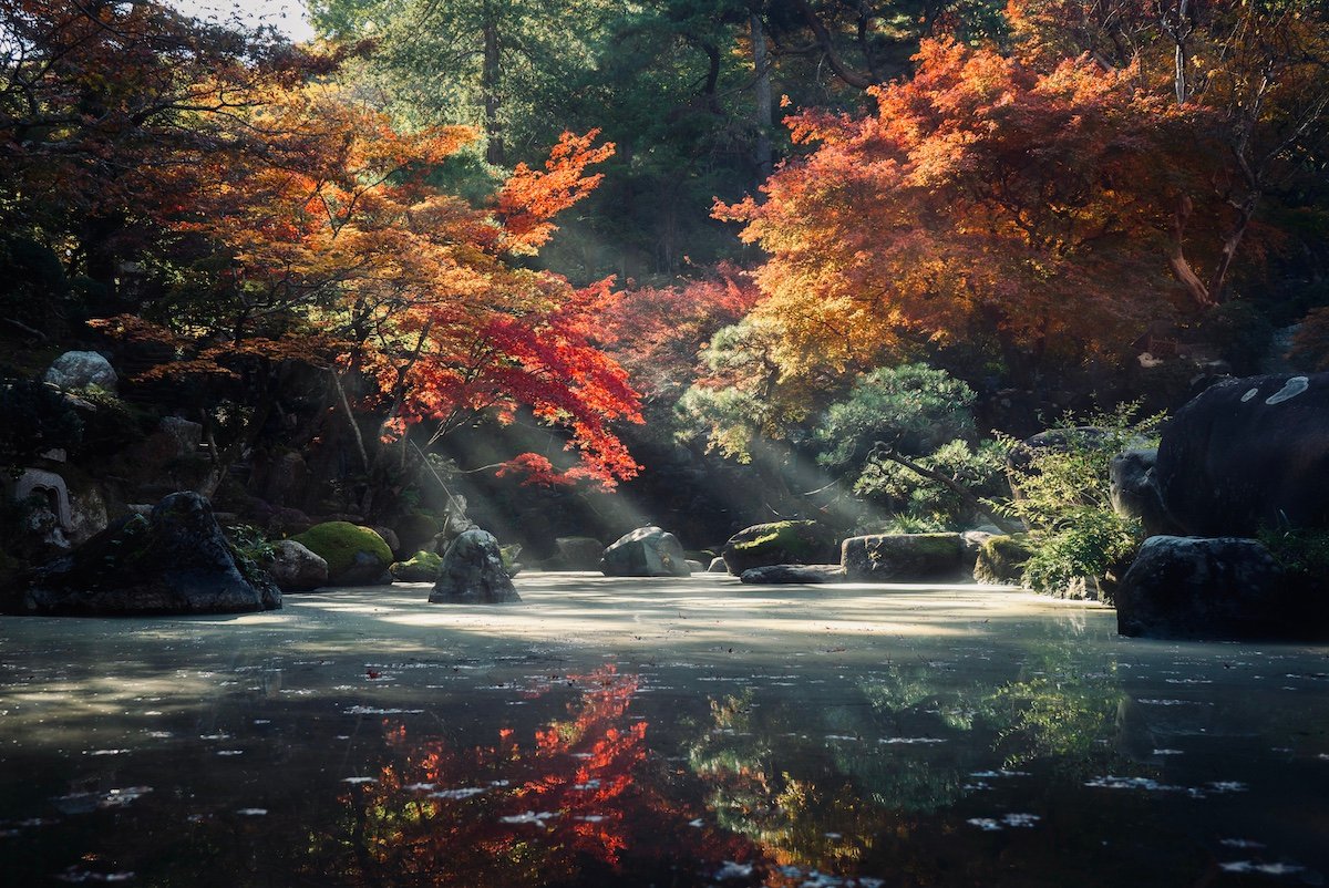 Renewal of Life
