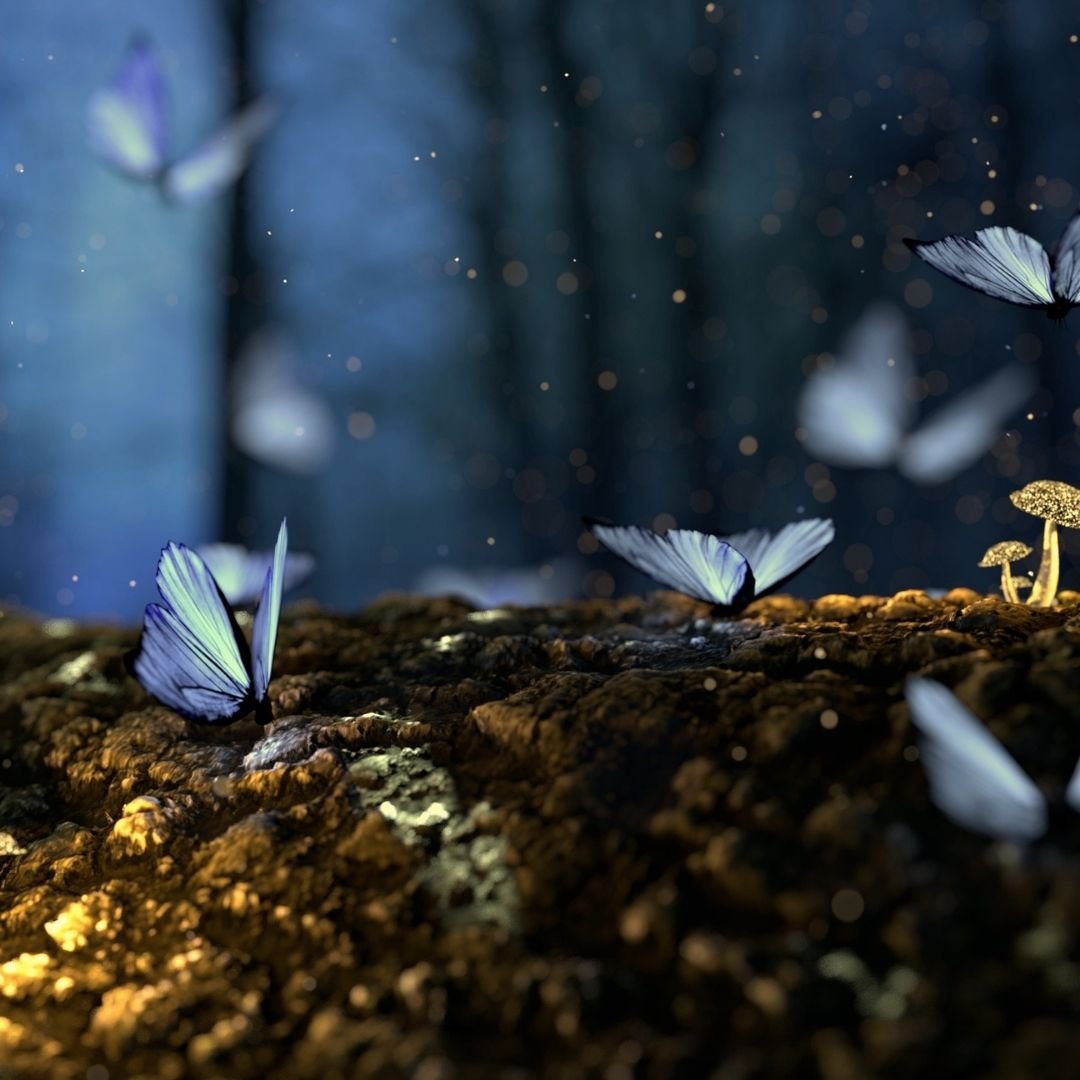 Metamorphosis