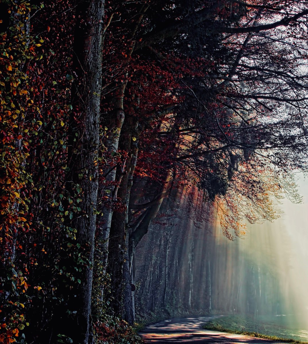 Keep Your Light Strong