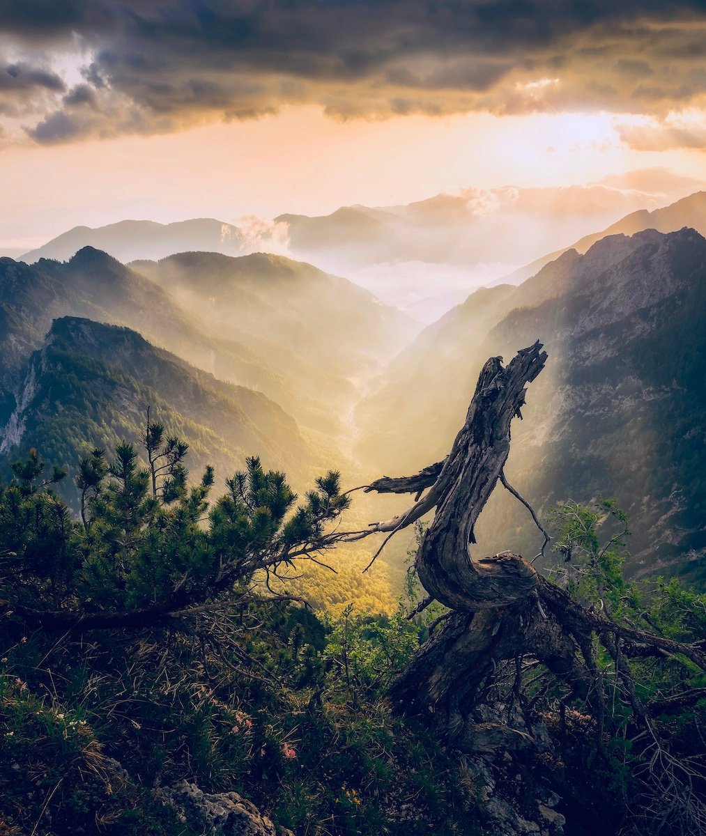 Time of Deep Collective & Individual Healing