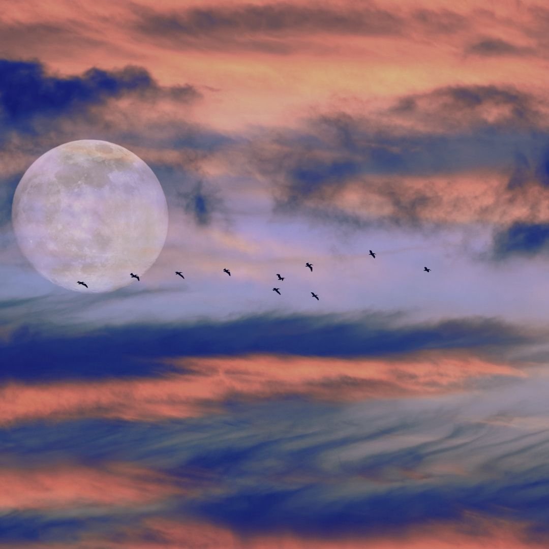 Full Moon