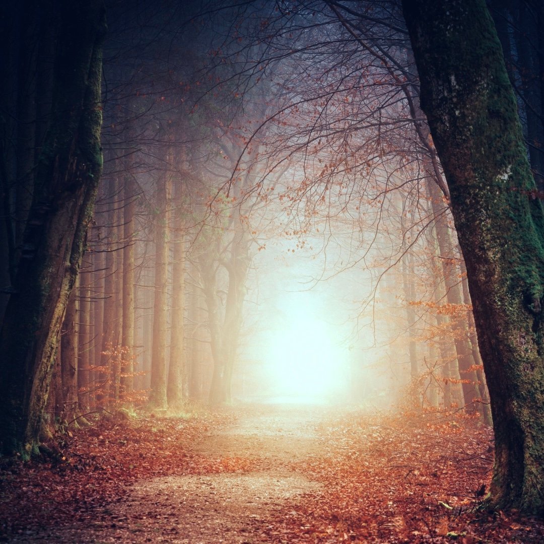 Clarity Emerges from the Heart