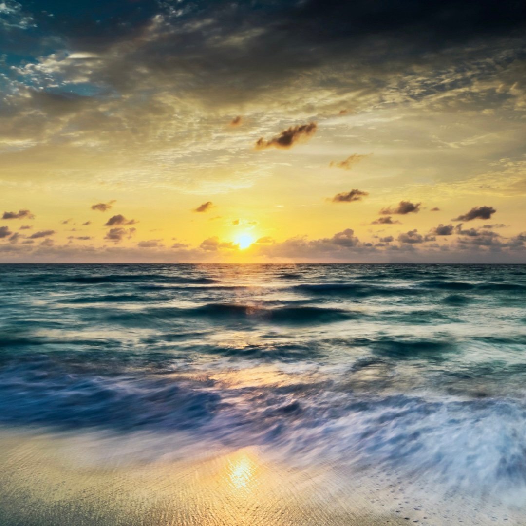 Shining Light into the Dark
