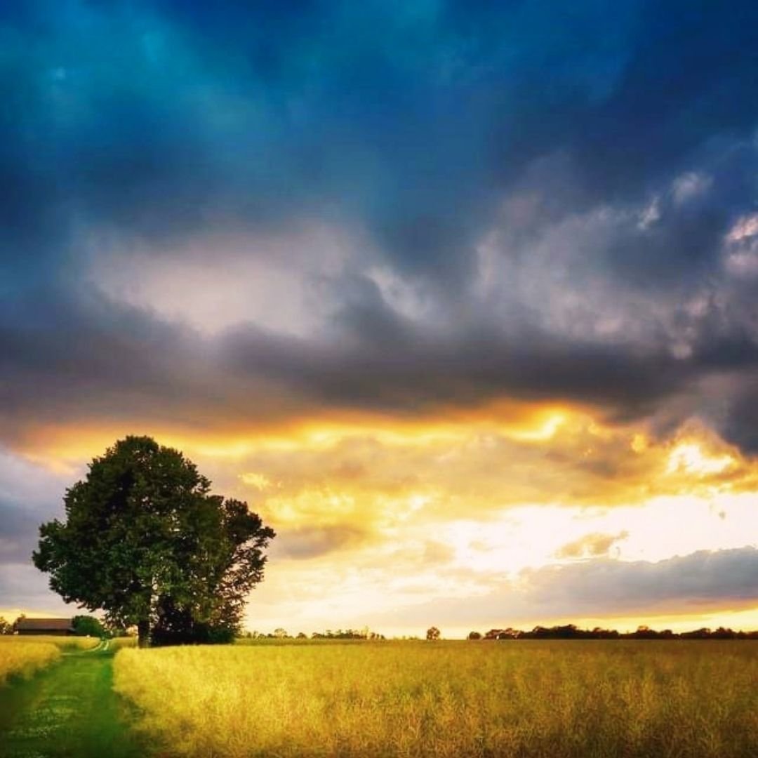 A New Season Awaits