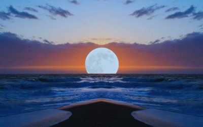 Final Full Moon of 2021