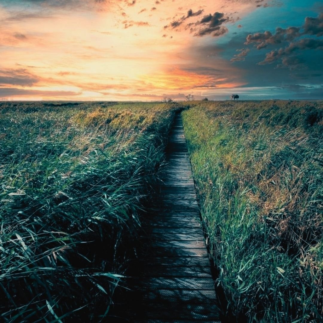 The Depth of Inner Transformation