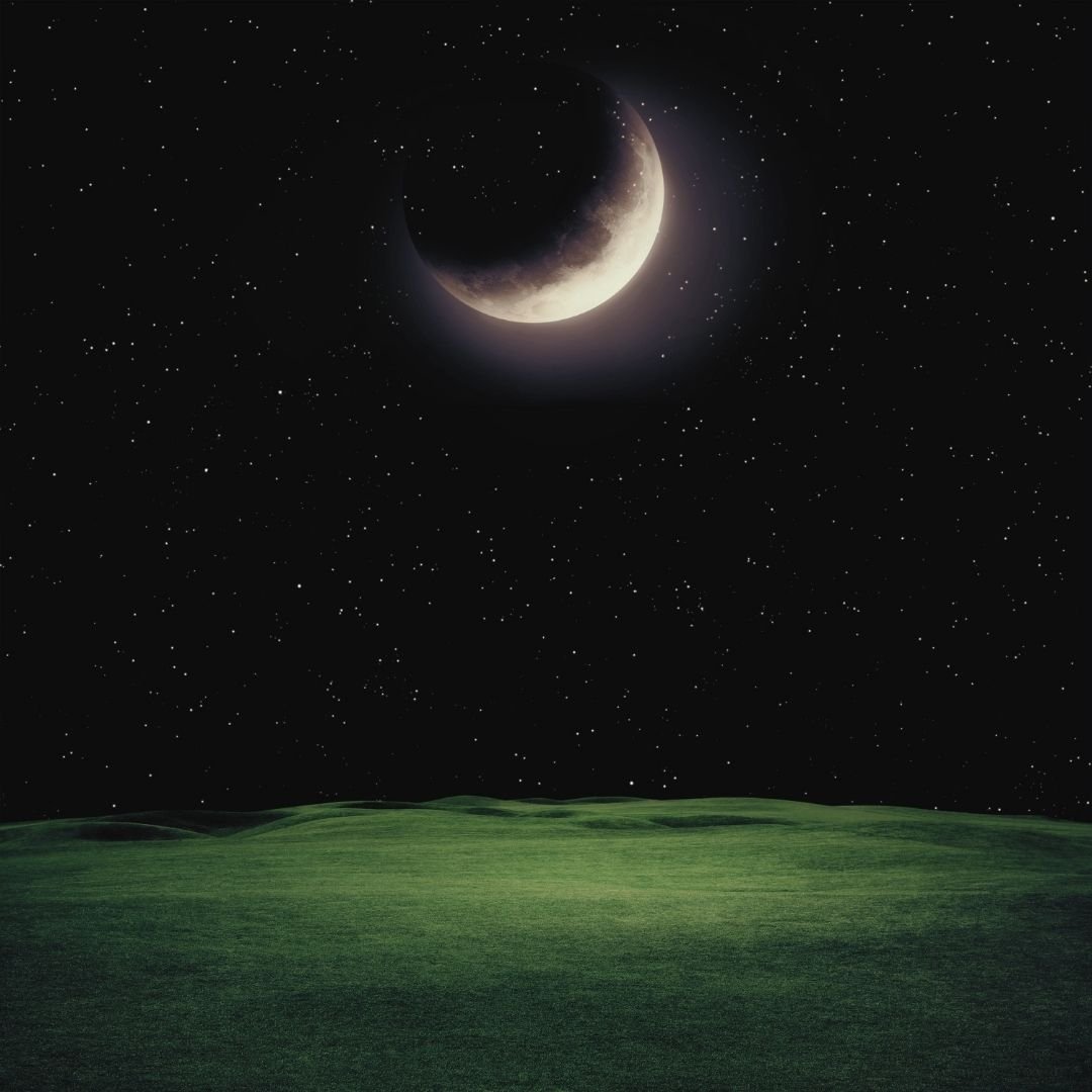 A New Year & a New Moon