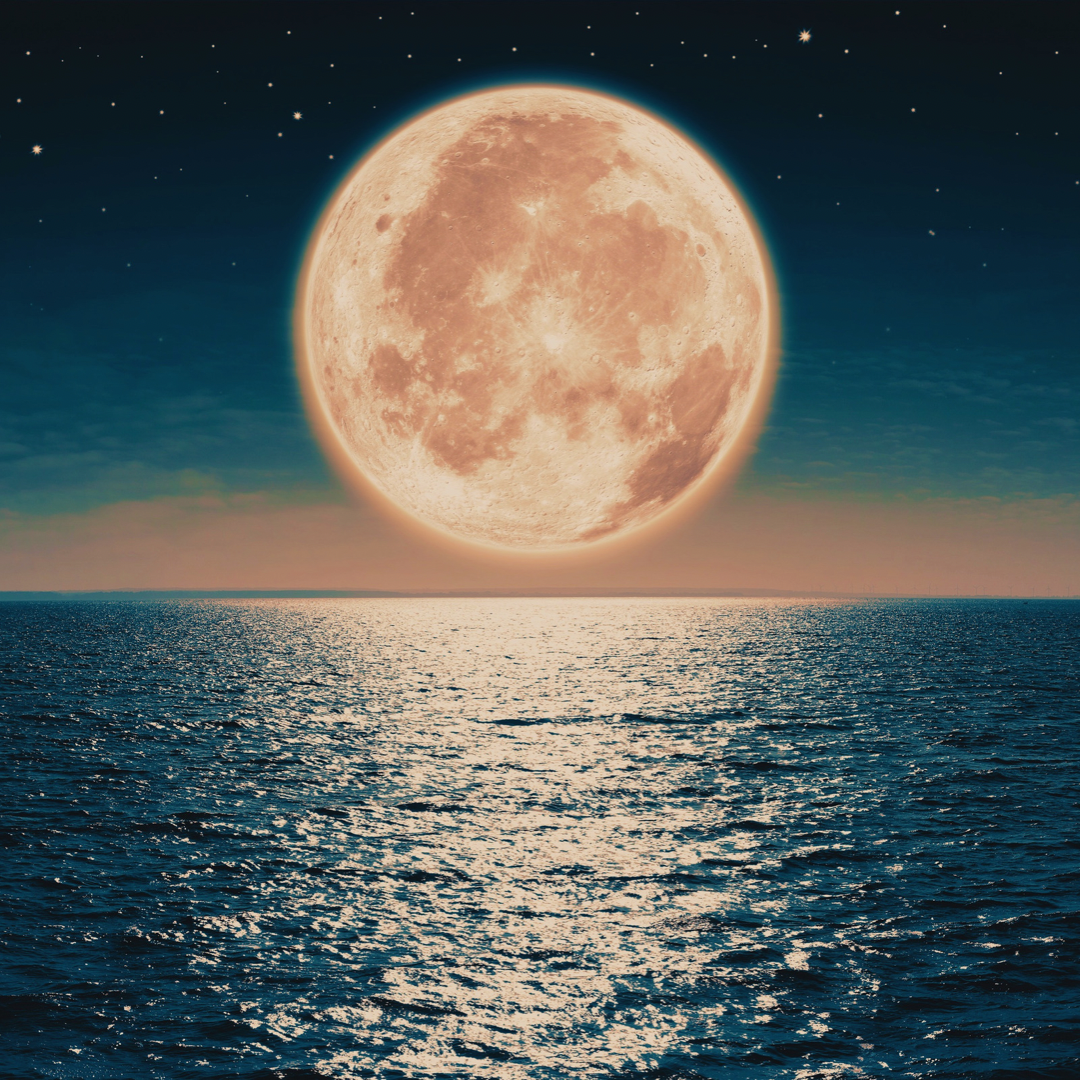 First Full Moon of 2022