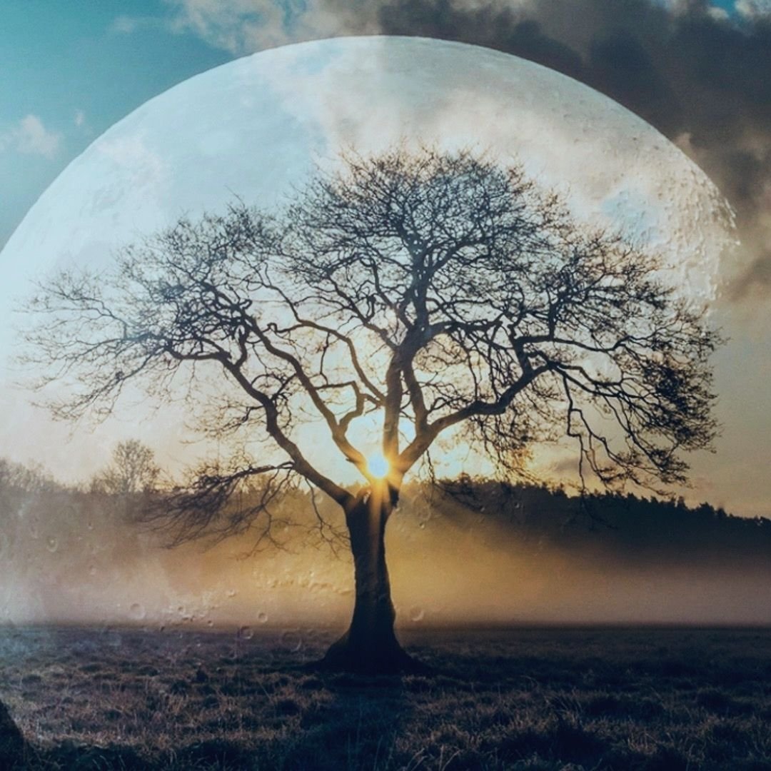 Rest & Replenish Your Energy