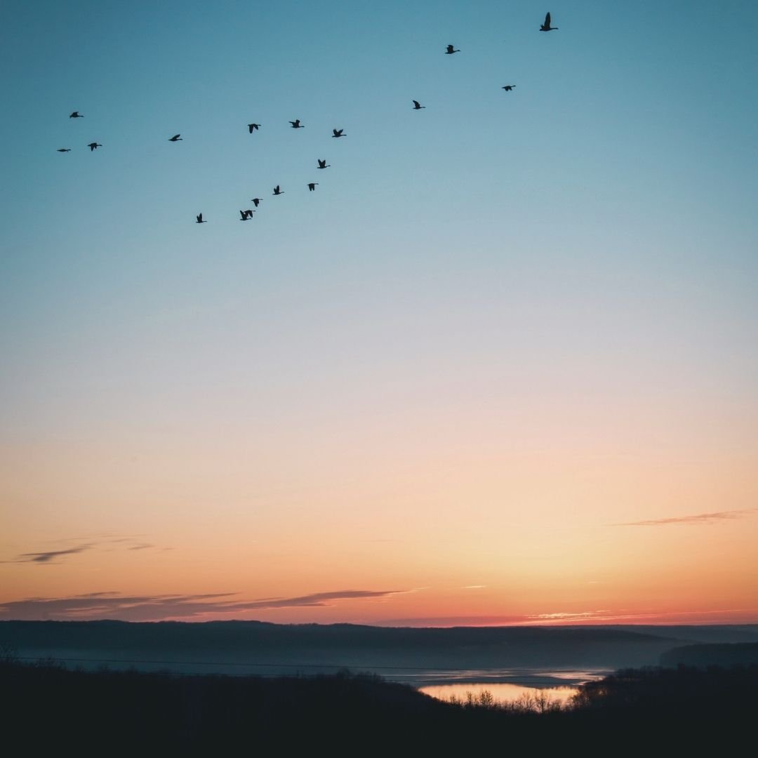 Balance Intuition with Logic