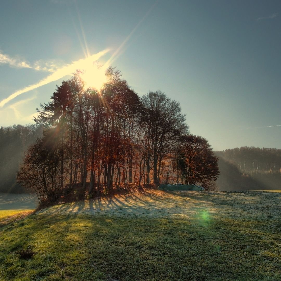 Restore, Recharge & Rebalance in Preparation