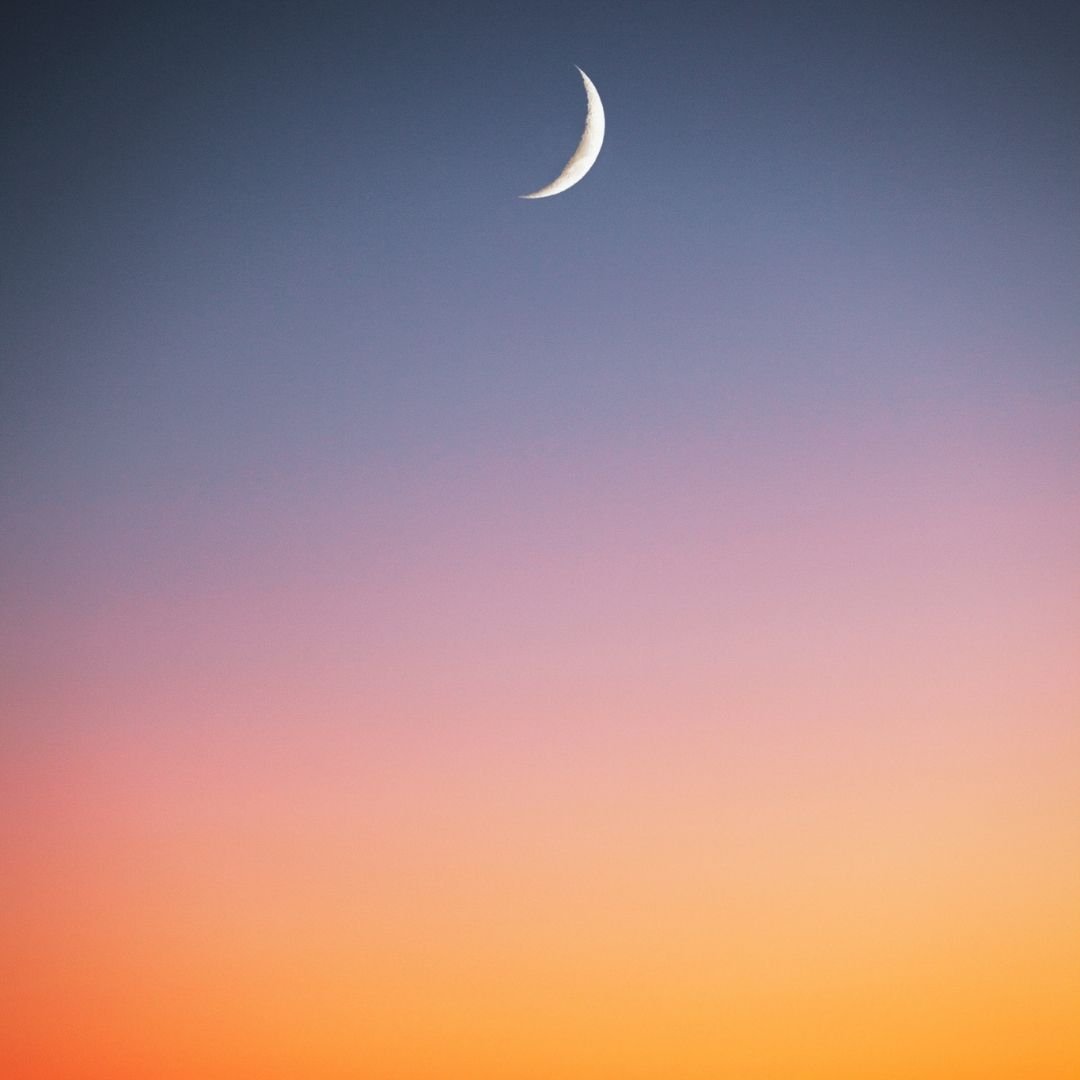 New Moon, New Beginnings