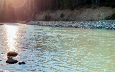 Cold Water Swimming