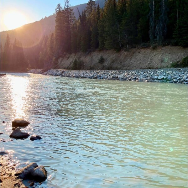 Cold Water Swimming