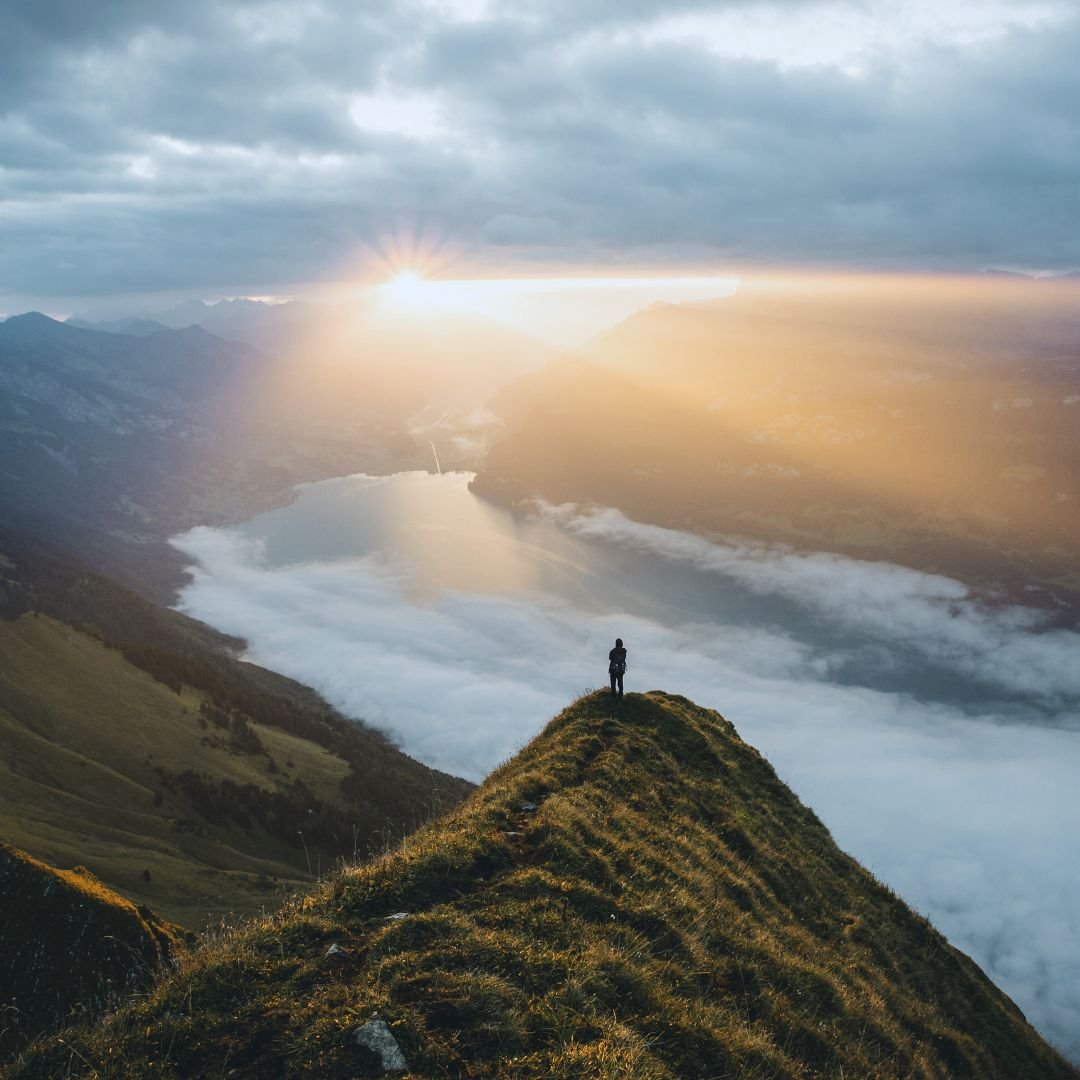 Embrace Your Journey