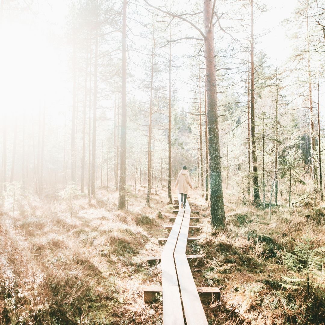 The Power of Clearing Ancestral and Soul Vows
