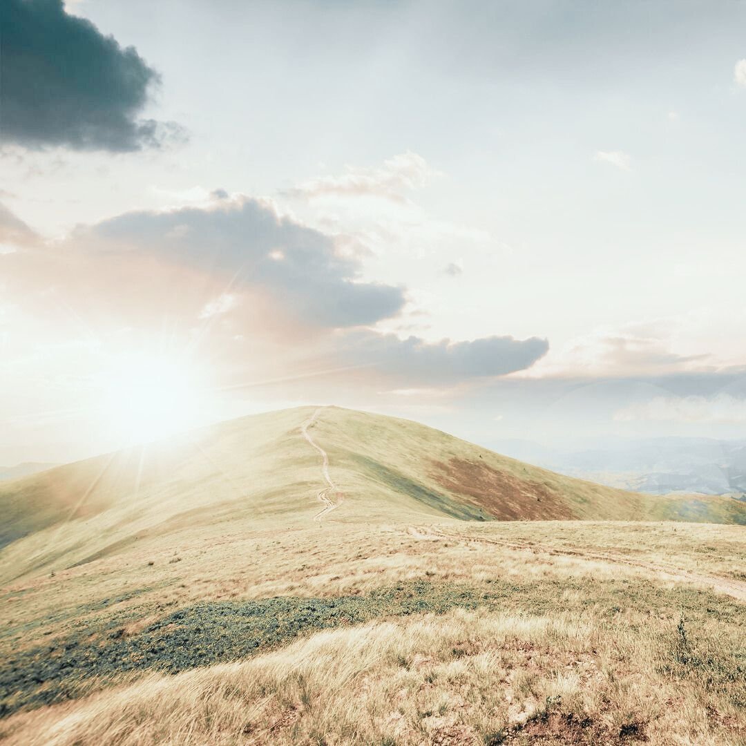 Move Slowly & Mindfully