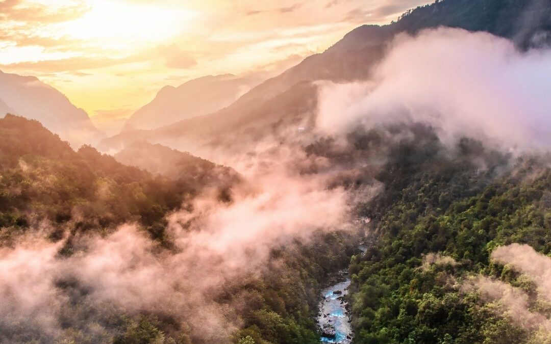 Moutain forests with river