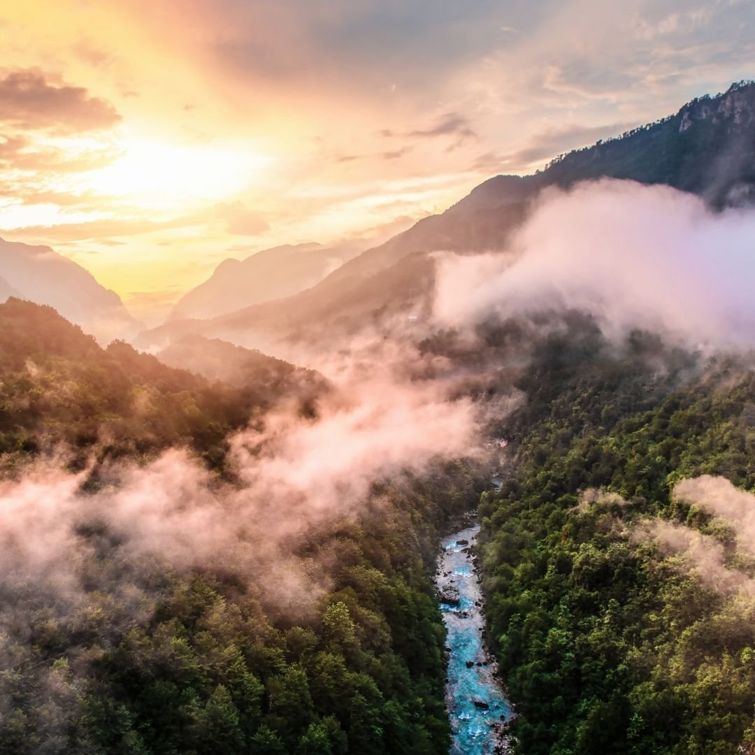 Moutain forests with river