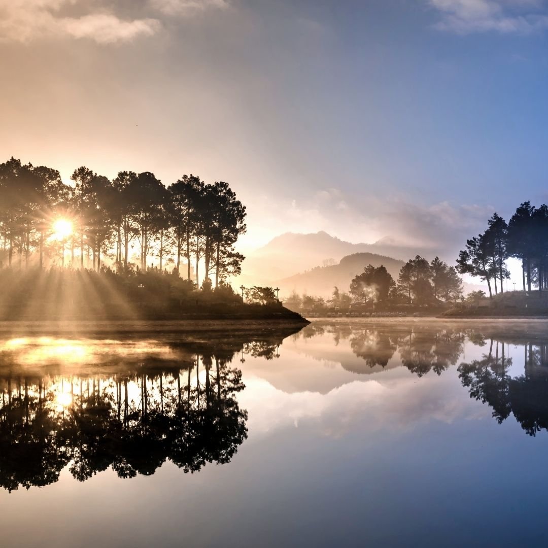 sun through trees reflecting on water