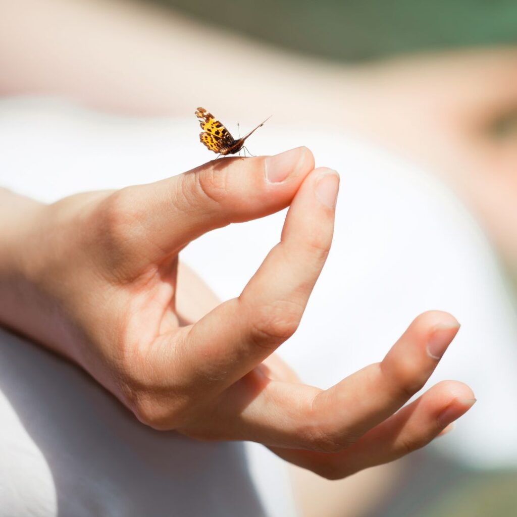 butterfly on thumb