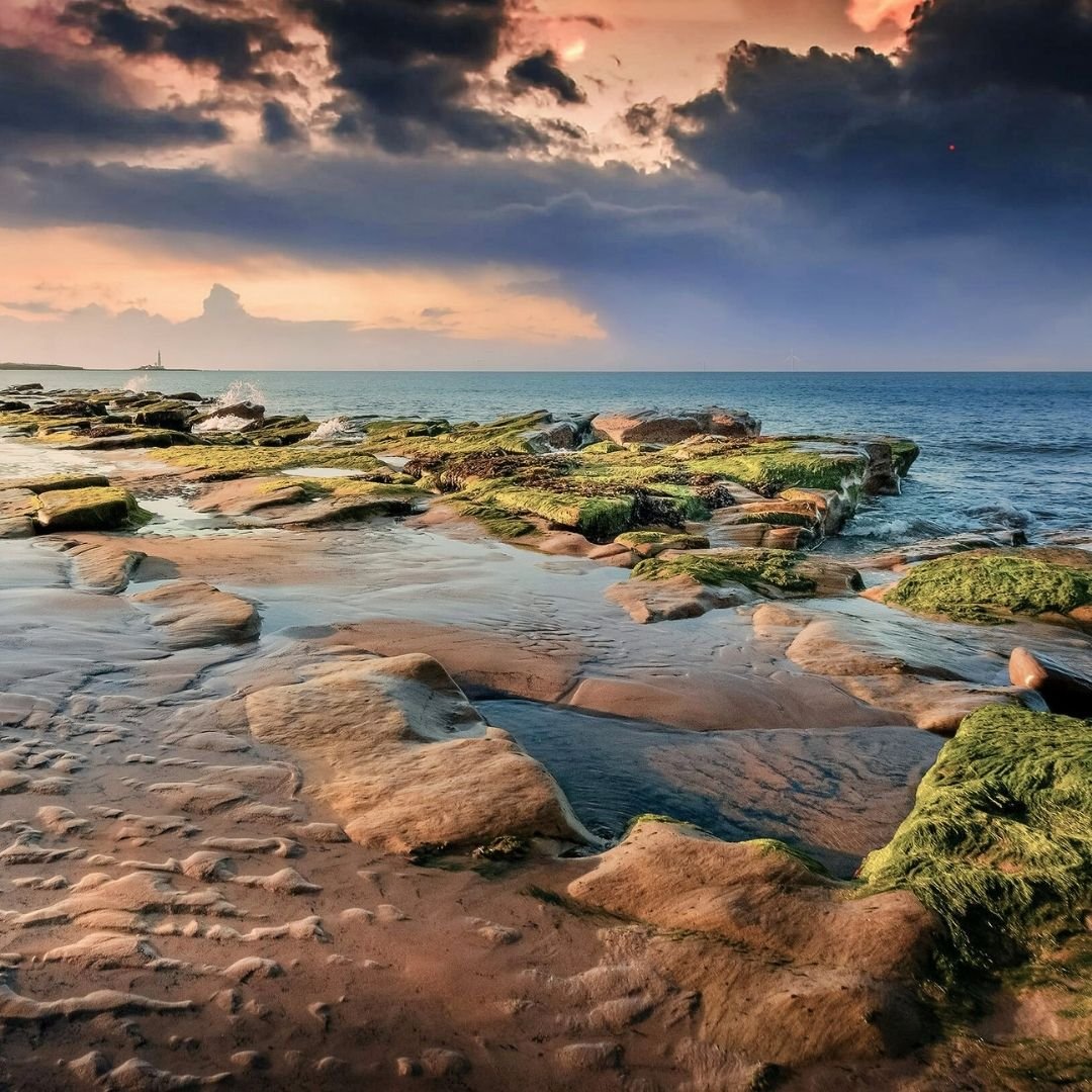 rocks in the ocean