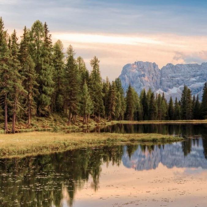 Cultivate a State of Inner Stillness