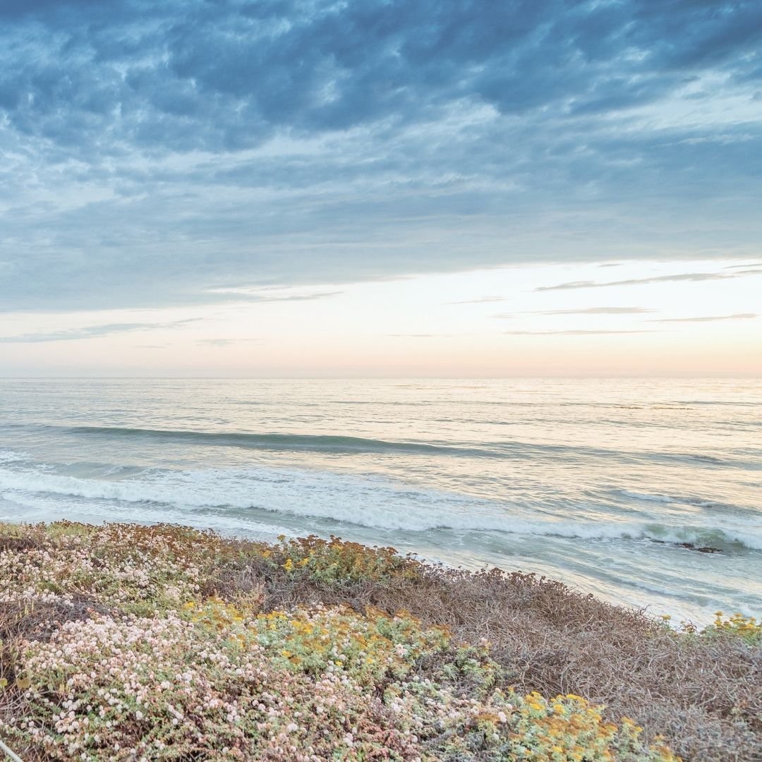 ocean