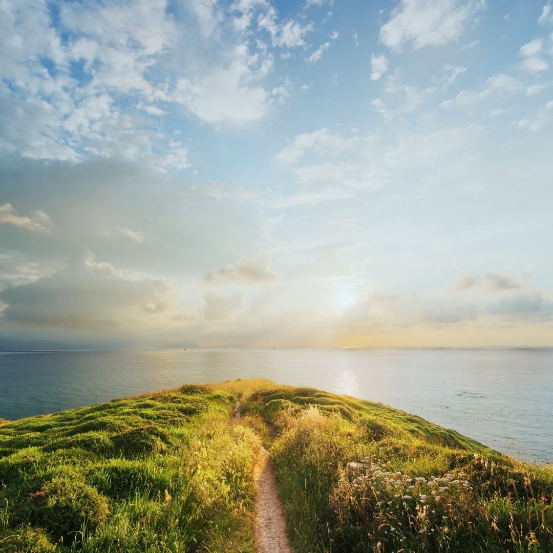 Path to ocean