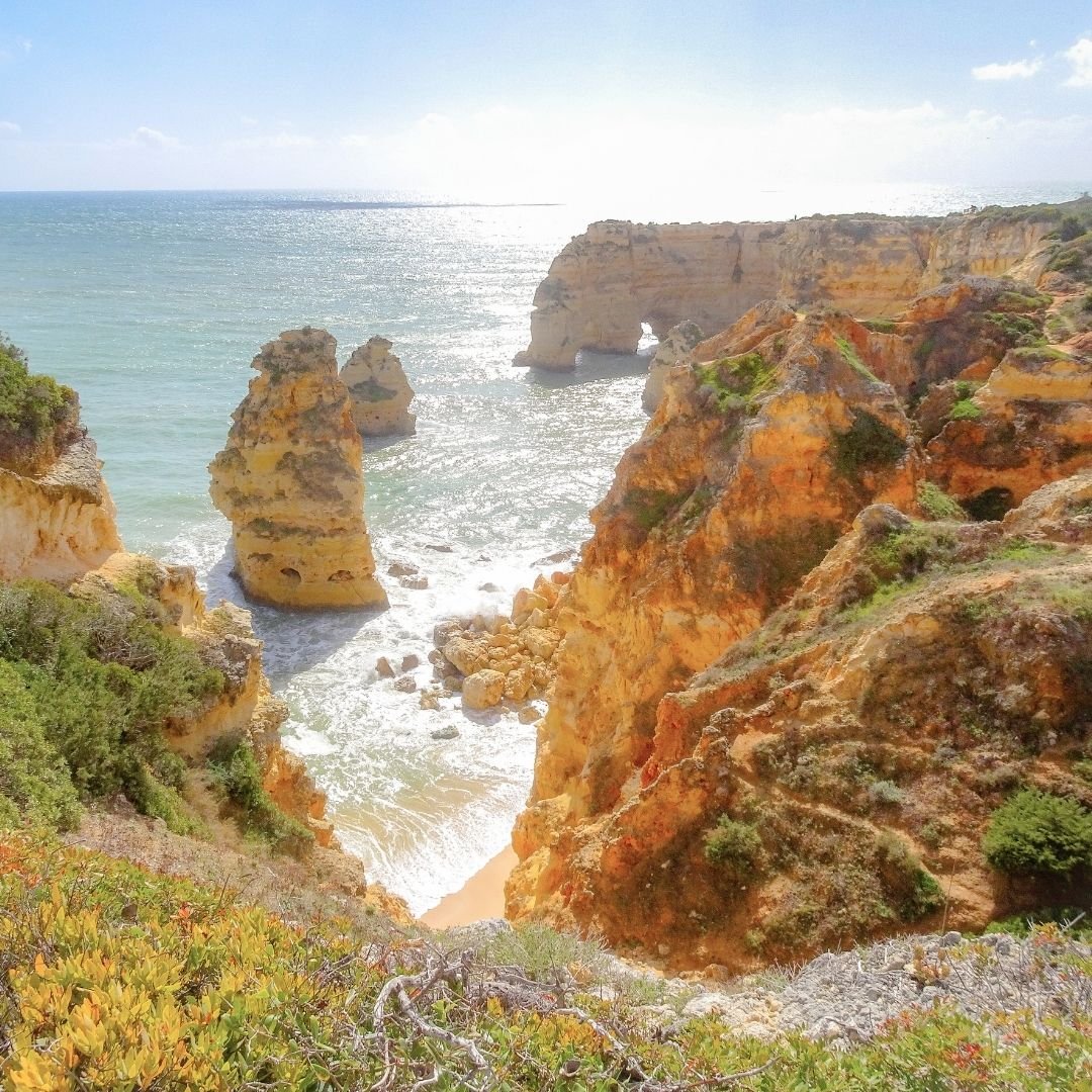 ocean and cliffs