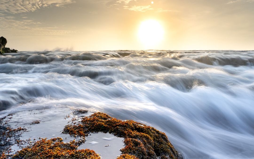 Ocean rock and sun