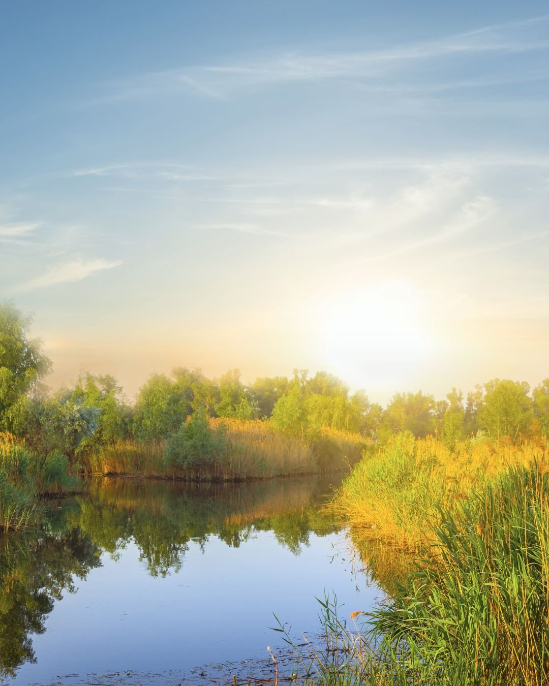 stream and sun