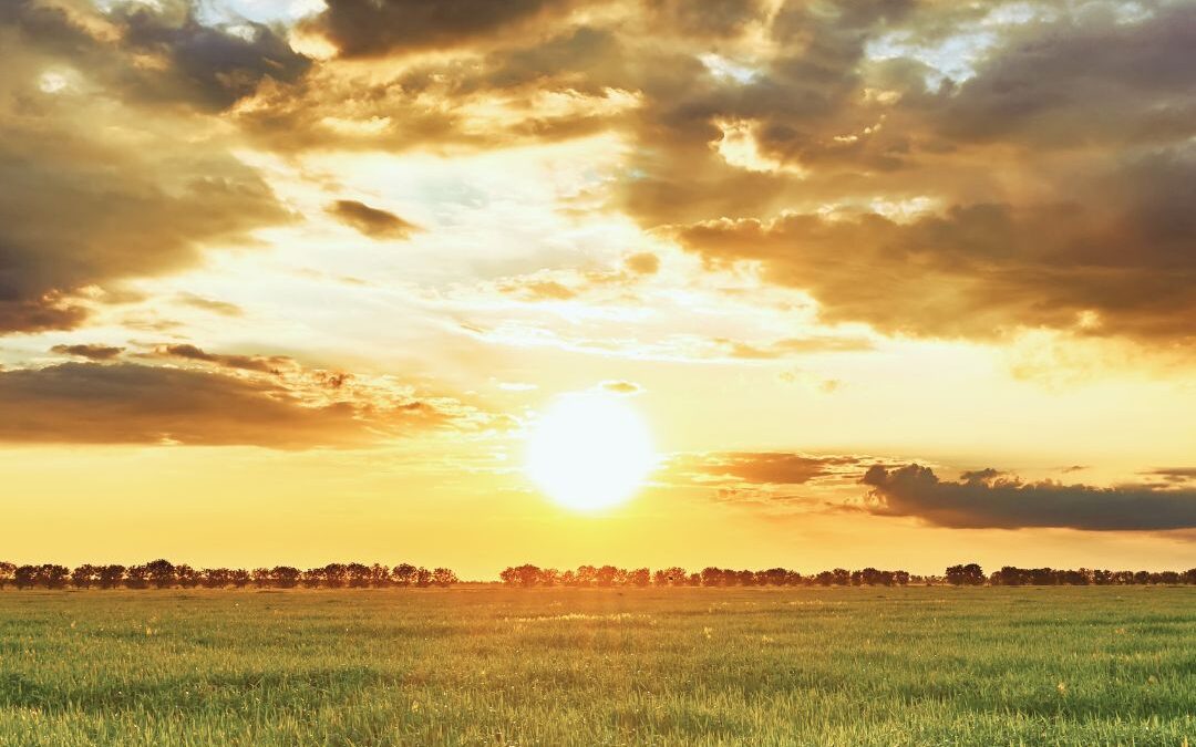 sun over a field