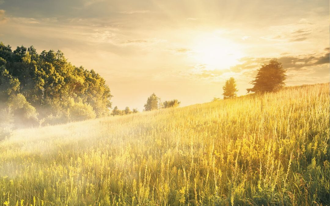sunrise over grassy hill