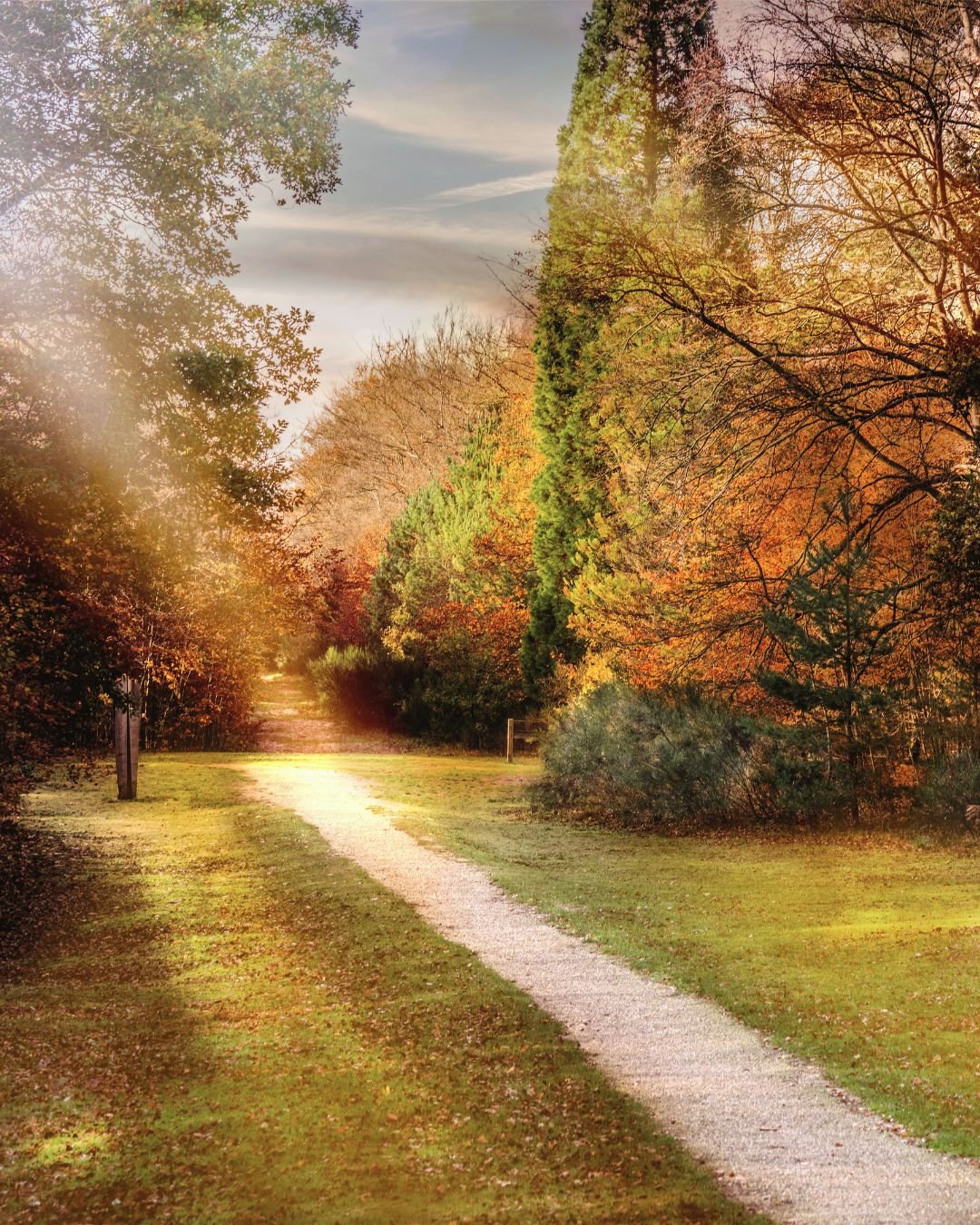 path with sunbeam