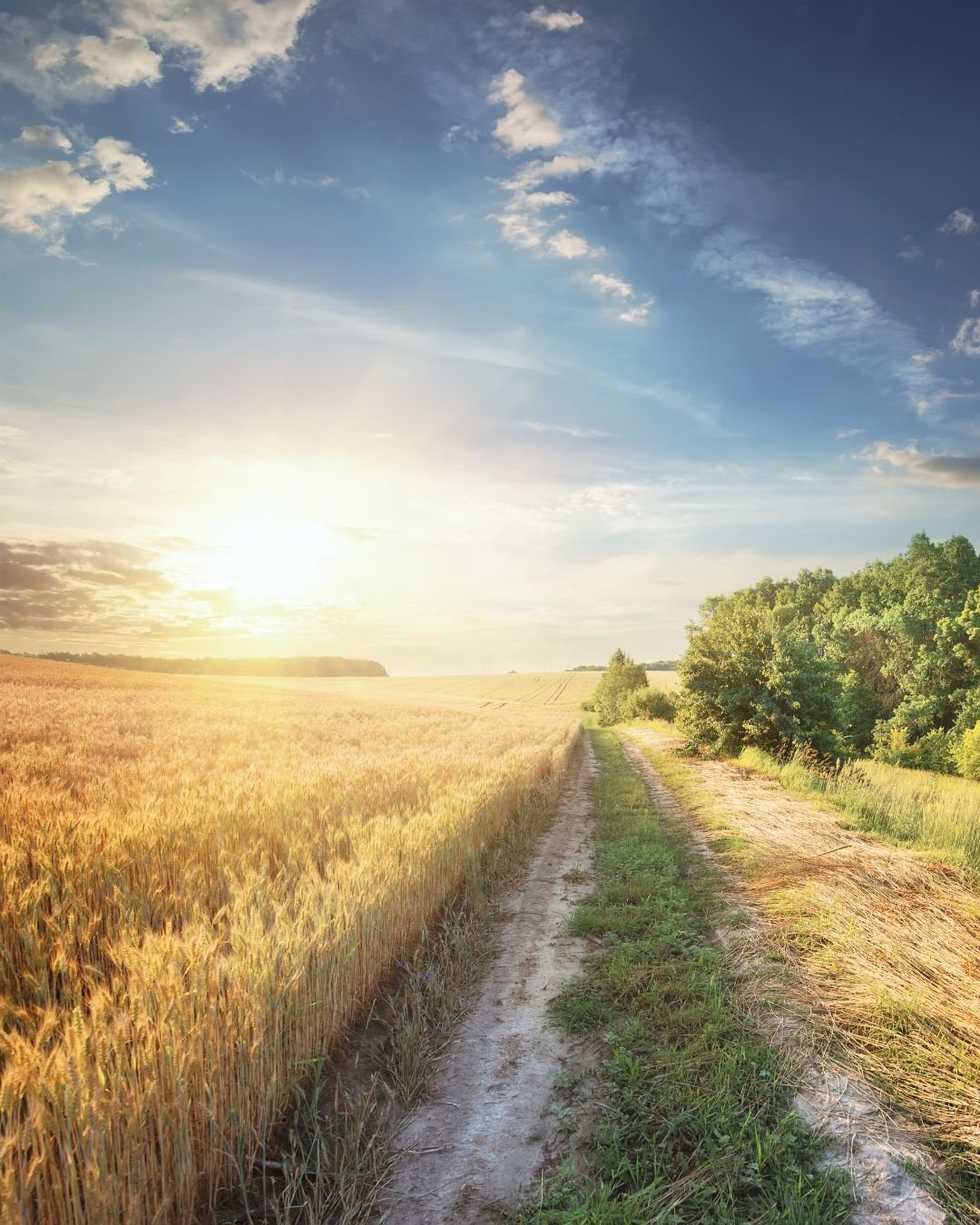 Path through fields