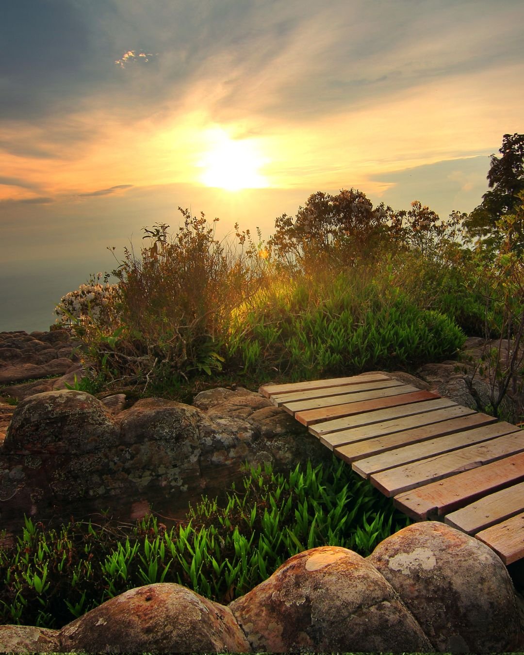 wooden path over rocks