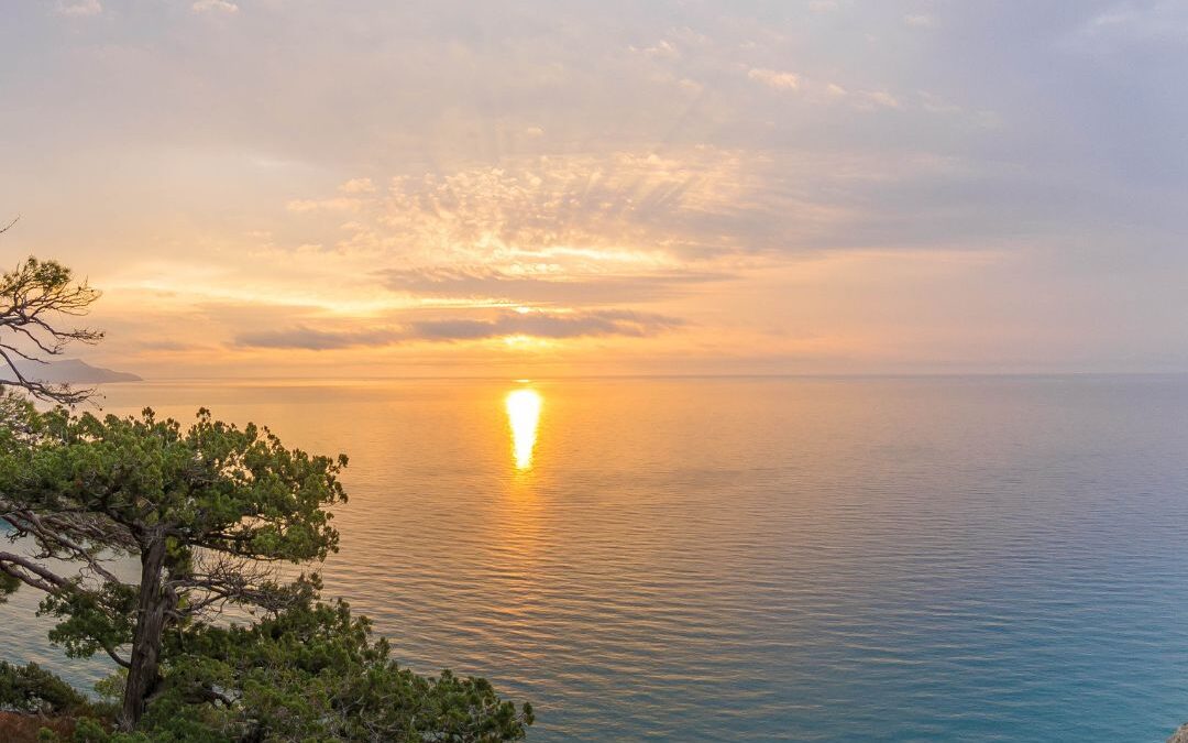 Slow Down & Be Present