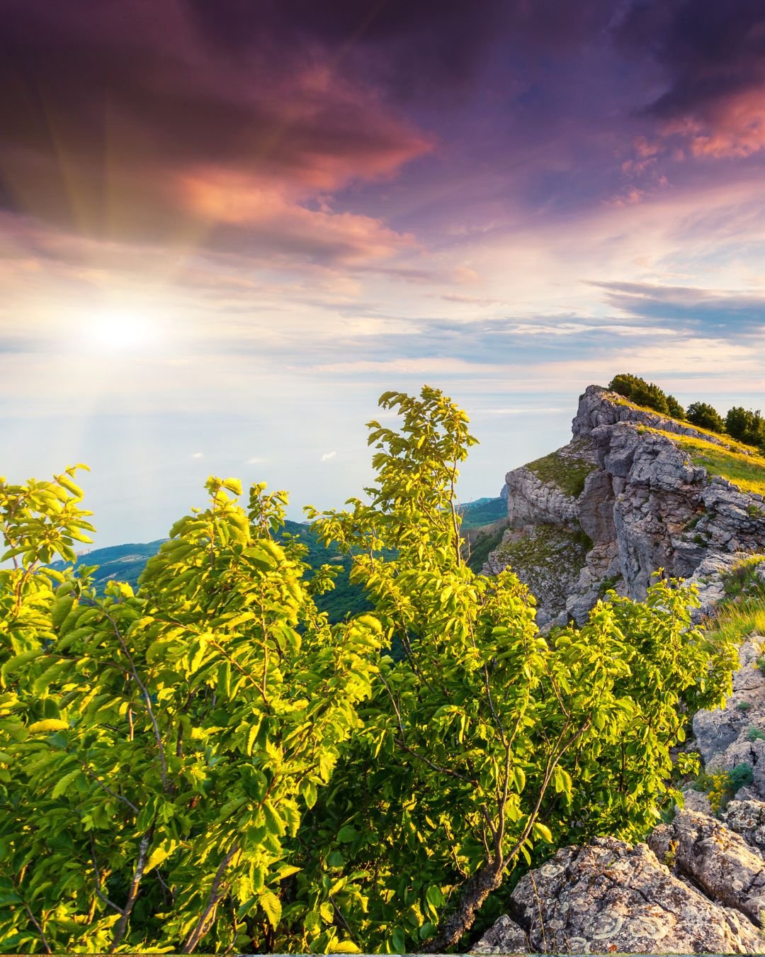 Mountain top