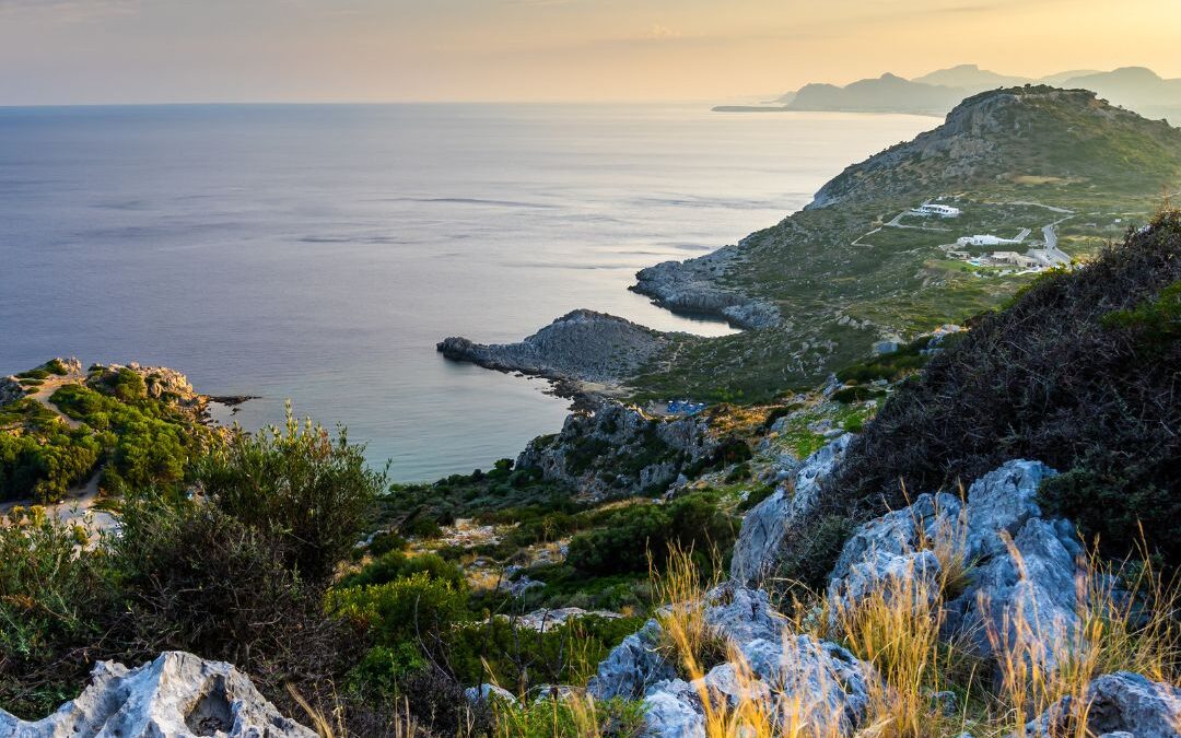 Life Has & Always Supports You