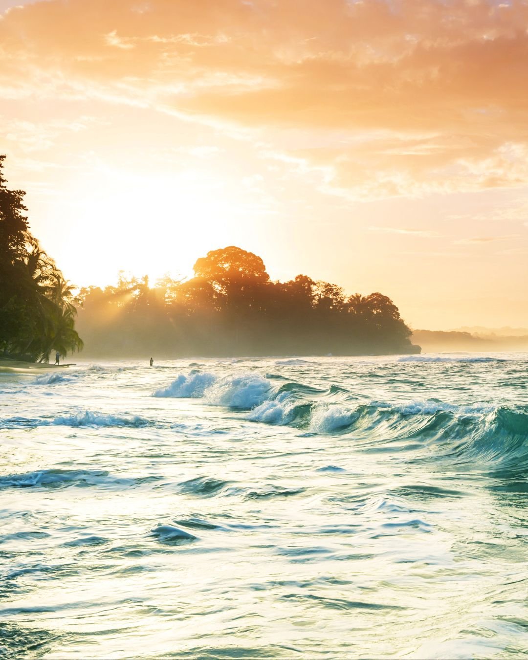 waves and sun