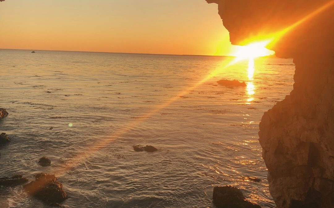 Transform Wounds into Wisdom