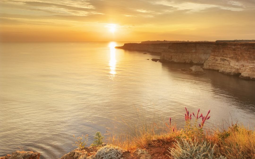 Soul Directed Choices