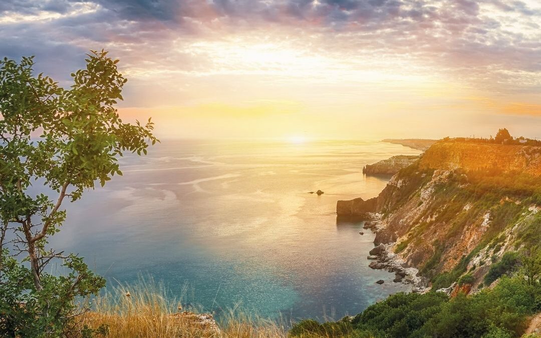 Shift Your Response to Uncertainty