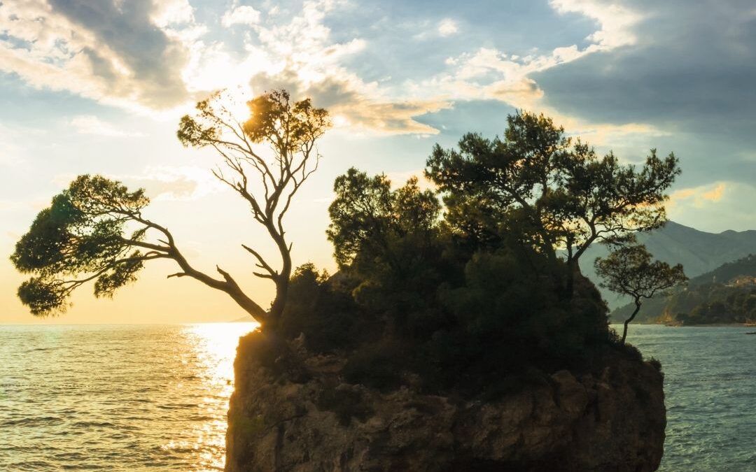 Feel Your Emotions Fully