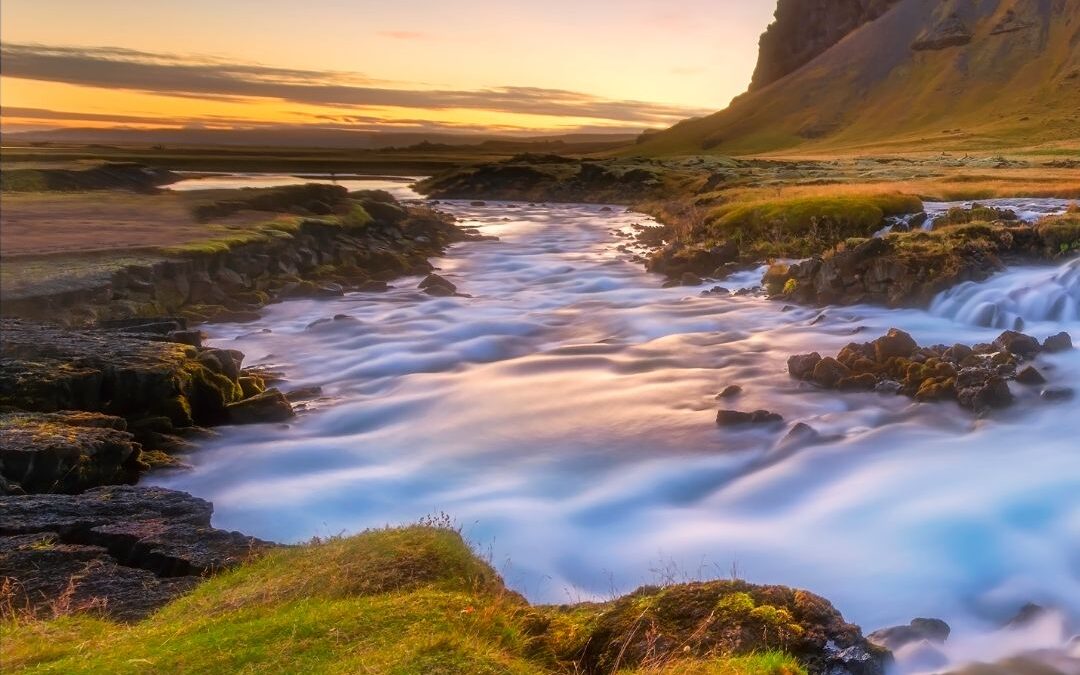 A Willingness to See