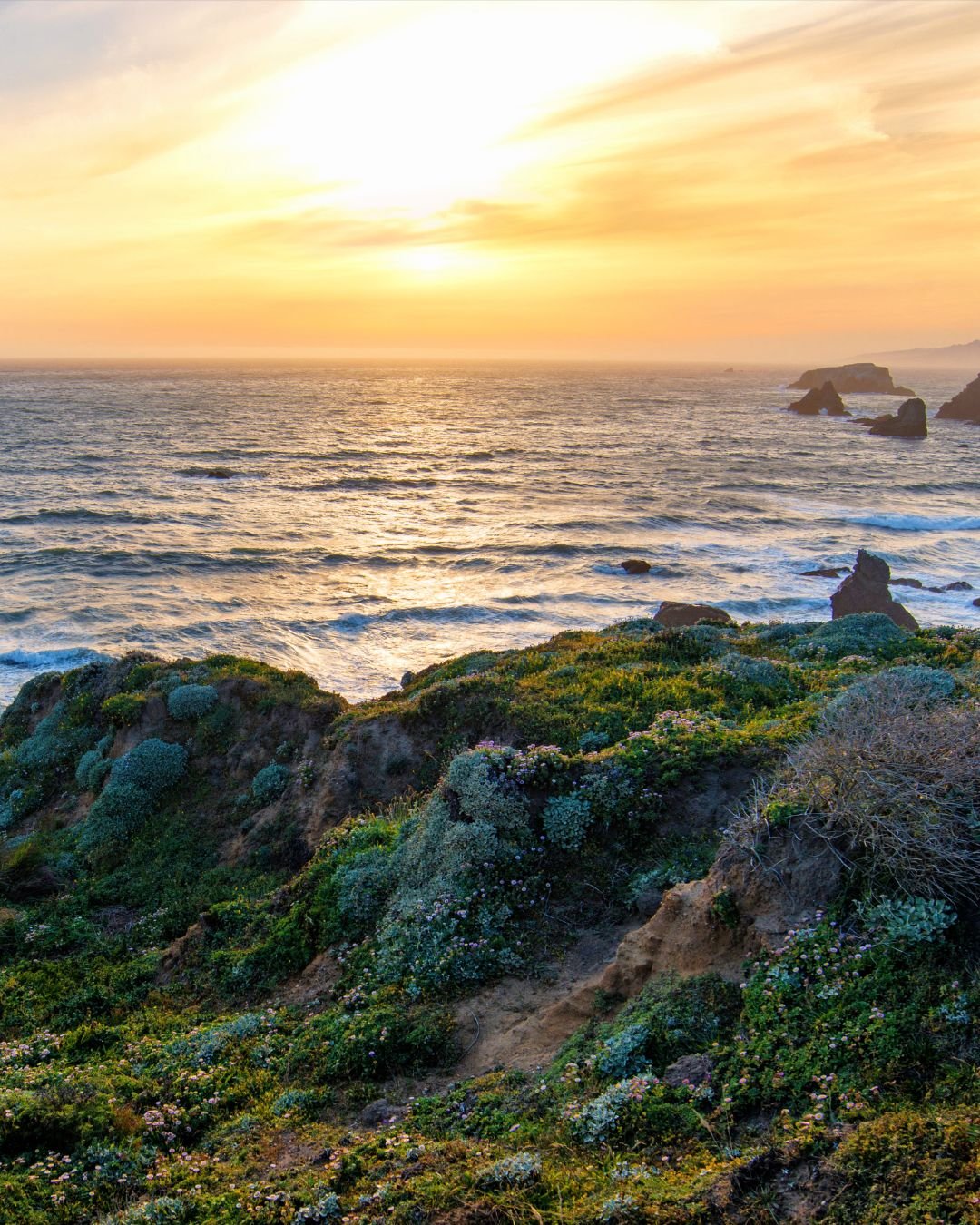 edge of the ocean